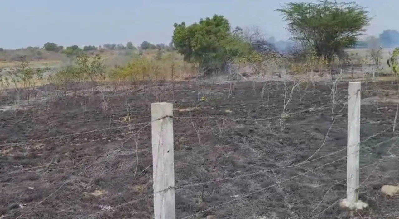 Uchhali village Greenbelt