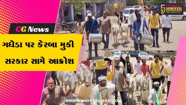 સુરેન્દ્રનગર : વઢવાણ તાલુકા પંચાયત કચેરી ખાતે કોંગ્રેસનો અનોખો વિરોધ, ગધેડા પર કેરબા મુકી સરકાર સામે આક્રોશ!