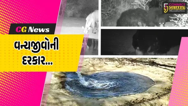 બનાસકાંઠા : કાળઝાળ ગરમી વચ્ચે વન્યજીવોને પીવાનું પાણી સરળતાથી મળી રહે તે માટે વન વિભાગની સરાહનીય કામગીરી…