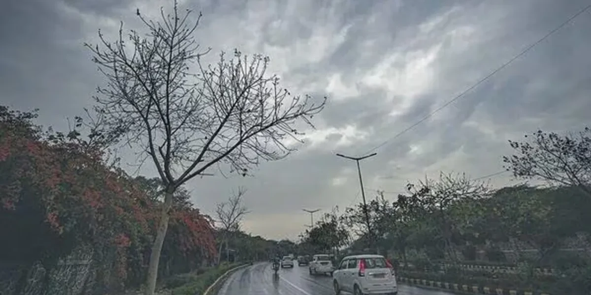 ભરૂચ જિલ્લામાં છેલ્લા 24 કલાકમાં છૂટોછવાયો વરસાદ, 9માંથી 7 તાલુકામાં વરસાદ નોંધાયો