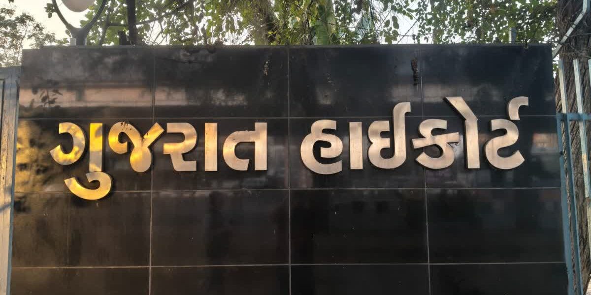 વનકર્મી પર હુમલા કેસમાં ધારાસભ્ય ચૈતર વસાવાના પત્ની શકુંતલાબેન સહિત 5 ને હાઇકોર્ટે આપ્યા જામીન