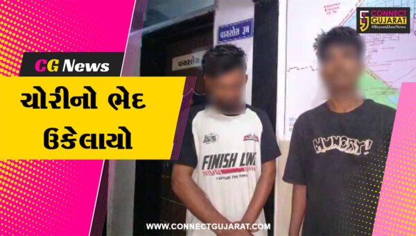 અંકલેશ્વર : GIDCમાં રાજેશ ફાર્માસ્યુટિકલ્સ કંપનીમાં થયેલી ચોરીનો ભેદ ઉકેલાયો, બે આરોપીઓ ઝડપાયા