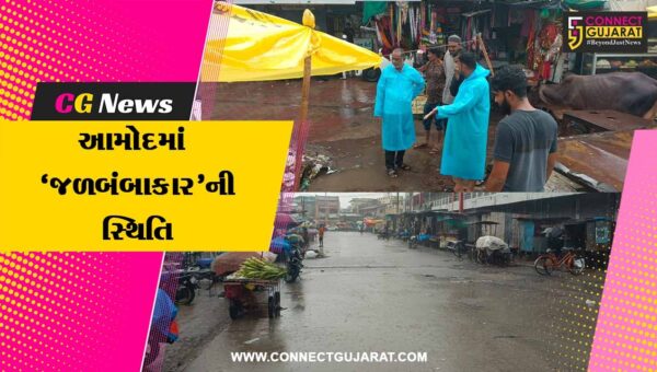 ભરૂચ : આમોદમાં ધોધમાર વરસાદ બાદ જળબંબાકારની સ્થિતિ, વરસાદી પાણીના ઝડપી નિકાલ માટે પાલિકા પ્રમુખે સ્થળ નિરીક્ષણ કર્યું…