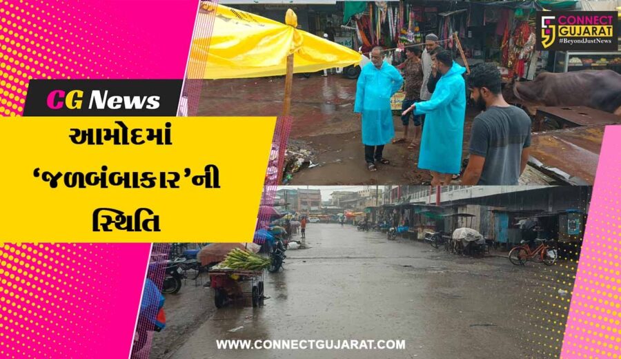 ભરૂચ : આમોદમાં ધોધમાર વરસાદ બાદ જળબંબાકારની સ્થિતિ, વરસાદી પાણીના ઝડપી નિકાલ માટે પાલિકા પ્રમુખે સ્થળ નિરીક્ષણ કર્યું...