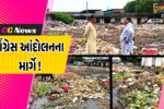 ભરૂચ: APMC માર્કેટમાં અસહ્ય ગંદકીના પ્રશ્ને કોંગ્રેસ આક્રમક, આંદોલનની ઉચ્ચારી ચીમકી