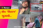 ભરૂચ : ગધેડાને બચાવવાના પ્રયાસમાં મોપેડ પરનો કાબૂ ગુમાવતાં અકસ્માતે યુવકનું કરુણ મોત…