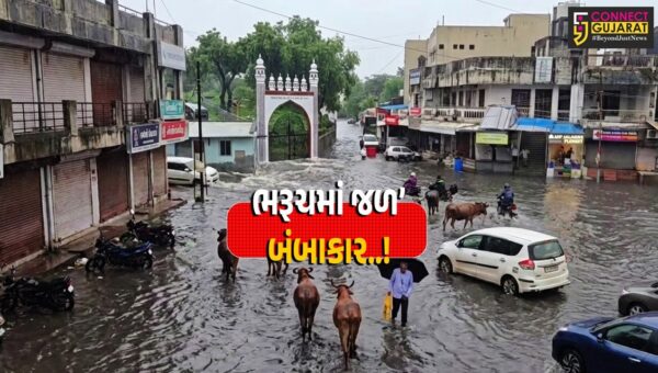 ભરૂચ : અવિરત વરસાદ વચ્ચે કસક-સેવાશ્રમ-ફુરજા વિસ્તારમાં જળ’બંબાકારની સ્થિતિ, લોકોને કામ વગર બહાર નહીં નીકળવા તંત્રની અપીલ