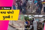 અંકલેશ્વર: ભાદી ગામે 7 દિવસ બાદ 5 ફૂટનો મગર પાંજરે પુરાયો, ગ્રામજનોમાં રાહત