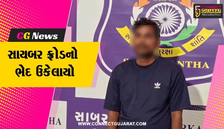 સાબરકાંઠા : સાયબર પોલીસે વિદેશમાં નોકરીના નામે કરોડોની છેતરપિંડી આચરતો શખ્સ ઉત્તરાખંડથી ઝડપાયો