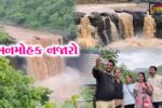 ડાંગ : ધોધમાર વરસાદ બાદ પ્રકૃતિ સોળે કળાએ ખીલી, પ્રવાસન સ્થળો પર પ્રવાસીઓનું ઘોડાપૂર