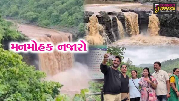 ડાંગ : ધોધમાર વરસાદ બાદ પ્રકૃતિ સોળે કળાએ ખીલી, પ્રવાસન સ્થળો પર પ્રવાસીઓનું ઘોડાપૂર