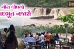 ડાંગ : ગીરા ધોધ ખીલી ઉઠ્યો,હરિયાળી, ધુમ્મસ અને ધસમસતા ધોધની મનમોહક છટા જોવા મળ્યો ભારે ઉત્સાહ