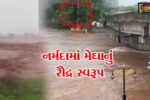 નર્મદા : ગરૂડેશ્વરમાં આભ ફાટ્યું, 6 ઇંચ વરસાદ ખાબક્યો,બે યુવાનો નદીના વહેણમાં ફસાતા એકનો બચાવ અન્ય એક લાપતા બન્યો