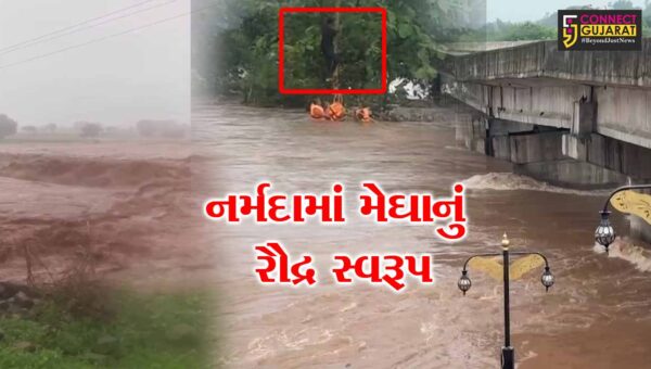 નર્મદા : ગરૂડેશ્વરમાં આભ ફાટ્યું, 6 ઇંચ વરસાદ ખાબક્યો,બે યુવાનો નદીના વહેણમાં ફસાતા એકનો બચાવ અન્ય એક લાપતા બન્યો