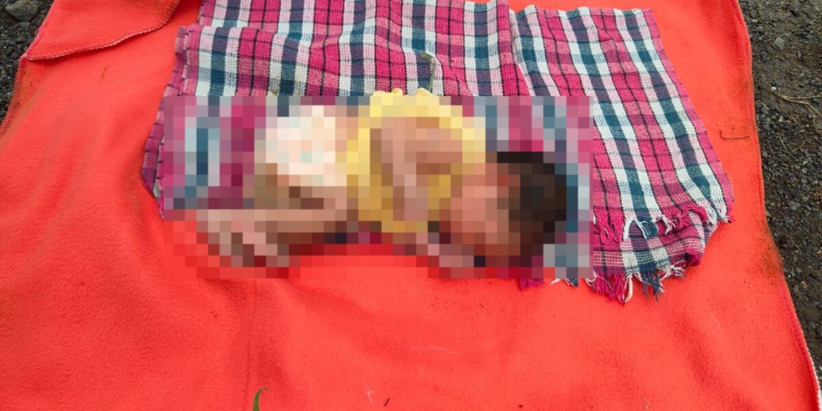 ભરૂચ: હાંસોટના રાયમા ગામ નજીક નહેર પાસેથી નવજાત શિશુ મળ્યું, પોલીસે તપાસ શરૂ કરી