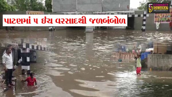 પાટણ : 5 ઇંચ વરસાદથી જળબંબોળ,પાલિકાની પ્રી-મોન્સૂન કામગીરી માત્ર કાગળ પર, જનતા પરેશાન