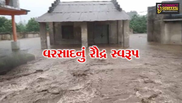 નર્મદા : તિલકવાડા તાલુકામાં જળબંબાકાર,સુરજીપુરામાં નદીના પાણી ફરી વળ્યા, નીચાણવાળા વિસ્તારો બેટમાં ફેરવાયા