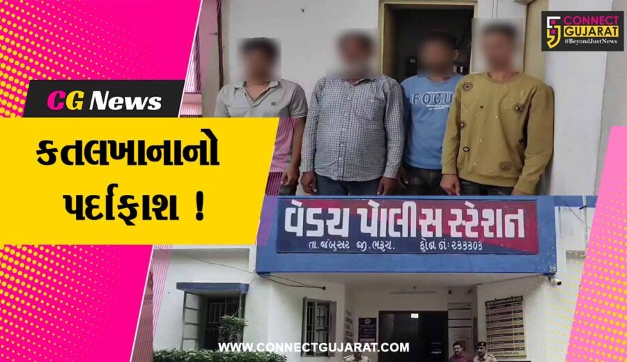 ભરૂચ: જંબુસર સારોદ ગામે ગૌ વંશની કતલનો પર્દાફાશ, 4 આરોપીઓની ધરપકડ