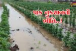 નર્મદા : રાજપીપળા પંથકમાં ભારે વરસાદ વચ્ચે ખેતરોમાં પાણી ફરી વળતાં ખેડૂતોમાં પાક નુકસાનની ભીતિ…