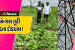અંકલેશ્વર: જુના પુનગામમાં  ખેતરમાં લગાવાયેલ ટાવર લાઇનની ભારે એંગલ તૂટી પડી, નજીકમાં કામ કરી રહેલ ખેડૂતનો આબાદ બચાવ