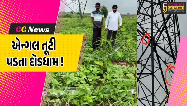 અંકલેશ્વર: જુના પુનગામમાં  ખેતરમાં લગાવાયેલ ટાવર લાઇનની ભારે એંગલ તૂટી પડી, નજીકમાં કામ કરી રહેલ ખેડૂતનો આબાદ બચાવ