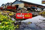ભરૂચ: તાજા શાકભાજીનું માર્કેટ જ બન્યુ ગંદકીનું ઘર, APMCએ દોષનો ટોપલો નગરપાલિકા પર ઢોળ્યો
