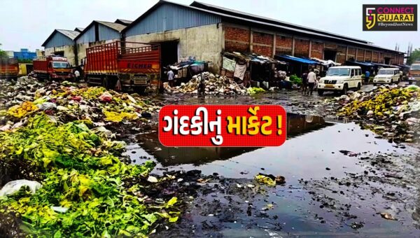 ભરૂચ: તાજા શાકભાજીનું માર્કેટ જ બન્યુ ગંદકીનું ઘર, APMCએ દોષનો ટોપલો નગરપાલિકા પર ઢોળ્યો