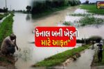 પાટણ : કેનાલ બની ખેડૂતો માટે આફત,રાધનપુરના મોટી પીપળીમાં કેનાલ તુટતા હજારો એકરમાં પાણી ફરી વળ્યા