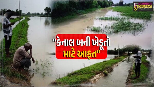 પાટણ : કેનાલ બની ખેડૂતો માટે આફત,રાધનપુરના મોટી પીપળીમાં કેનાલ તુટતા હજારો એકરમાં પાણી ફરી વળ્યા