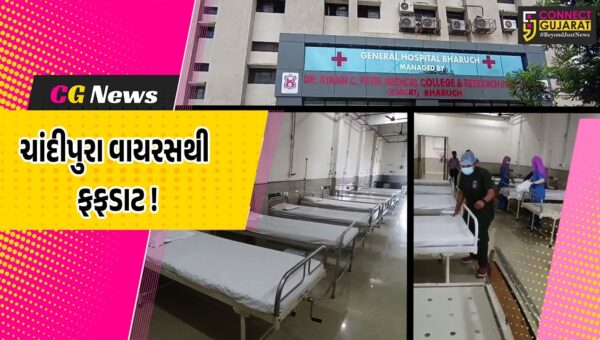 ભરૂચ: સિવિલ હોસ્પિટલ તંત્ર ચાંદીપુરા વાયરસના સંભવિત ખતરાને લઈ સતર્ક, આઇસોલેશન વોર્ડ કાર્યરત