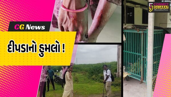 ભરૂચ: ઝઘડિયામાં પાંજરામાંથી દીપડો ફરાર, બે મહિલા શ્રમજીવી પર કર્યો હુમલો