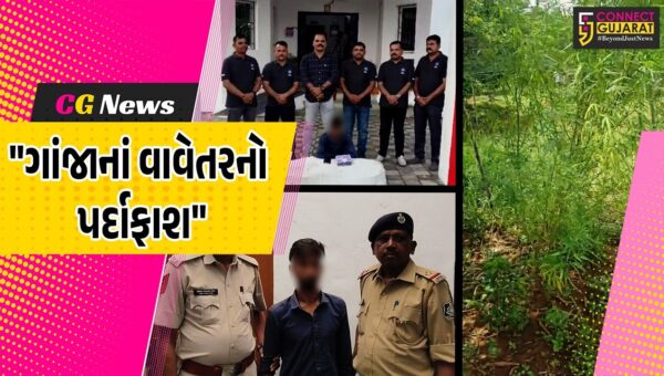 વલસાડ : ધરમપુરમાંથી ઝડપાયું ગેરકાયદેસર ગાંજાનું વાવેતર,રૂ.9.55 લાખના મુદ્દામાલ સાથે એક આરોપીની ધરપકડ