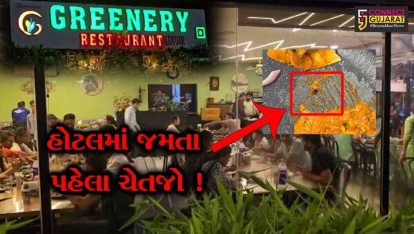 ભરૂચ: જાણીતી ગ્રીનરી રેસ્ટોરન્ટમાં પનીર ટીક્કામાં માખી નીકળતા વિવાદ, હોટલમાં સ્વરછતા અંગે અનેક સવાલ