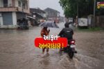 ભરૂચ: હાંસોટ પંથકમાં ભારે વરસાદ,ઇલાવ ગામે બસ સ્ટેન્ડ નજીક ઘૂંટણસમા પાણી ભરાયા