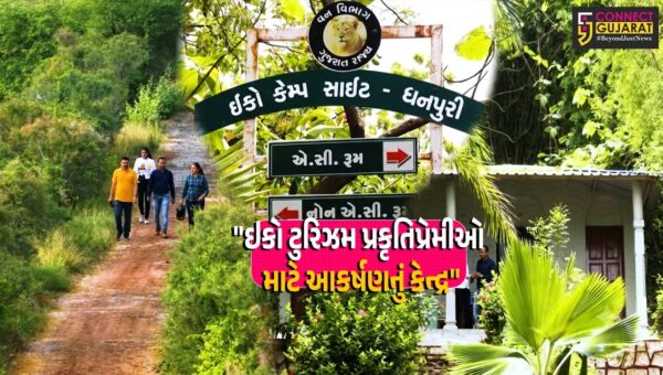 પંચમહાલ :  જાંબુઘોડા અભયારણ્યની મધ્યમાં આવેલું ધનપુરી ઇકો ટુરિઝમ સેન્ટર પ્રકૃતિપ્રેમીઓ માટે આકર્ષણનું કેન્દ્ર બન્યું