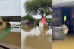 ભરૂચ: હાંસોટ પંથકમાં અનરાધાર વરસાદથી કંટિયાળજાળ ગામ જળબંબાકાર, ઘરો અને આરોગ્ય કેન્દ્રમાં ઘૂસ્યા પાણી