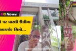 ભરૂચ : વાંચકોને આકર્ષવા કે.જે.ચોકસી પબ્લિક લાયબ્રેરીના ગ્રંથપાલે વૃક્ષો પર ‘વારલી શૈલી’ના નયનરમ્ય ચિત્રો કંડાર્યા…
