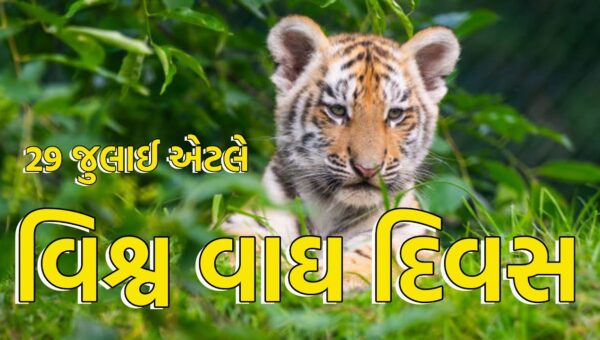 આંતરરાષ્ટ્રીય વાઘ દિવસની ઉજવણી,વિશ્વની કુલ વસ્તીના 70 ટકા વાઘ ભારતમાં વસે છે!