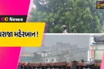અંકલેશ્વર-હાંસોટ પંથકમાં ધોધમાર વરસાદ, ઇલાવ-સાહોલ રોડ પર વૃક્ષ નમી પડતાં વાહન વ્યવહાર પ્રભાવિત
