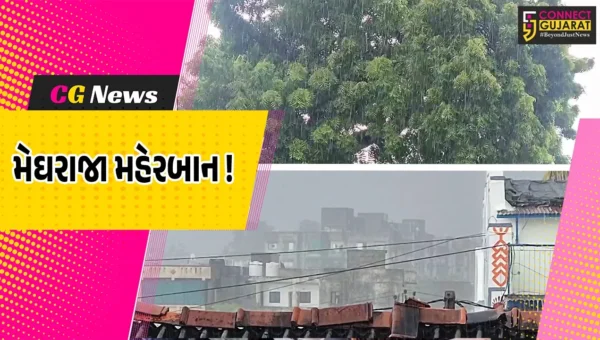 અંકલેશ્વર-હાંસોટ પંથકમાં ધોધમાર વરસાદ, ઇલાવ-સાહોલ રોડ પર વૃક્ષ નમી પડતાં વાહન વ્યવહાર પ્રભાવિત