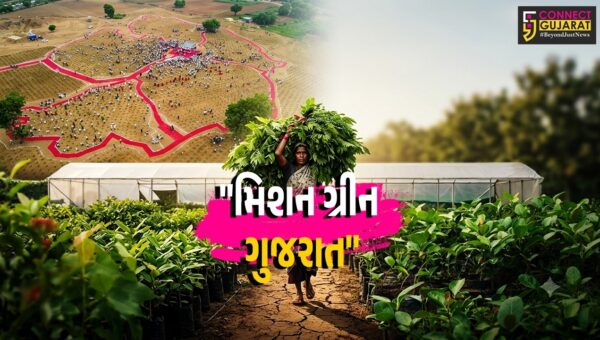 ગાંધીનગર :  ગુજરાતને ગ્રીન કવર આપવા વન વિભાગનો મોટો એક્શન પ્લાન, 11.80 કરોડથી વધુ રોપાઓનું થશે વિતરણ