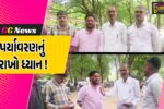 ભરૂચ: ગણેશોત્સવ-દશામાંના તહેવાર પૂર્વે POPની પ્રતિમા પર પ્રતિબંધની માંગ, કલેકટરને પાઠવાયું આવેદનપત્ર