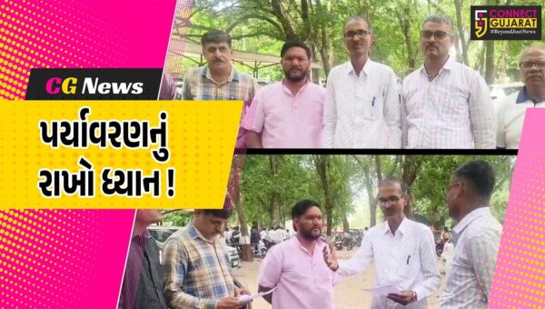 ભરૂચ: ગણેશોત્સવ-દશામાંના તહેવાર પૂર્વે POPની પ્રતિમા પર પ્રતિબંધની માંગ, કલેકટરને પાઠવાયું આવેદનપત્ર