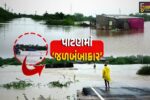 પાટણ : અતિ’ભારે વરસાદથી રાધનપુર-સાંતલપુર પંથકમાં જળબંબાકારની સ્થિતિ, કેટલાય ગામો સંપર્ક વિહોણા બન્યા…