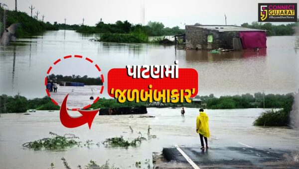 પાટણ : અતિ’ભારે વરસાદથી રાધનપુર-સાંતલપુર પંથકમાં જળબંબાકારની સ્થિતિ, કેટલાય ગામો સંપર્ક વિહોણા બન્યા…