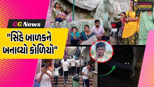 જૂનાગઢ : ગિરનાર પર્વત ચઢતા 12 વર્ષના બાળકને સિંહ ખેંચી ગયો, જંગલમાંથી અવશેષો મળ્યા