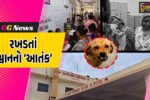 ભરૂચ : જંબુસરના ખાનપુર દેહ ગામમાં રખડતાં શ્વાનનો હુમલો, મોઢાના ભાગે ગંભીર ઇજાઓ પહોચતા મહિલા સારવાર હેઠળ…