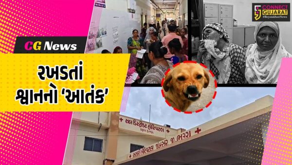ભરૂચ : જંબુસરના ખાનપુર દેહ ગામમાં રખડતાં શ્વાનનો હુમલો, મોઢાના ભાગે ગંભીર ઇજાઓ પહોચતા મહિલા સારવાર હેઠળ…