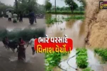 વાવ-થરાદ : સતત 2 દિવસથી વરસી રહેલા ભારે વરસાદે વિનાશ વેર્યો, મકાનોમાં પાણી ફરી વળતાં અનાજ-ઘરવખરીને નુકશાન…