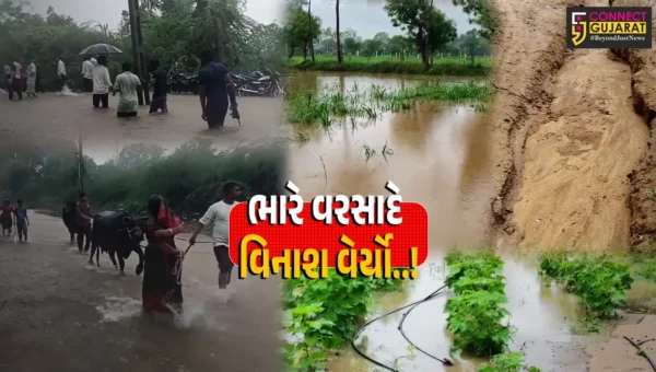 વાવ-થરાદ : સતત 2 દિવસથી વરસી રહેલા ભારે વરસાદે વિનાશ વેર્યો, મકાનોમાં પાણી ફરી વળતાં અનાજ-ઘરવખરીને નુકશાન…
